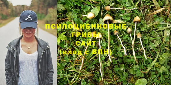 apvp Магадан