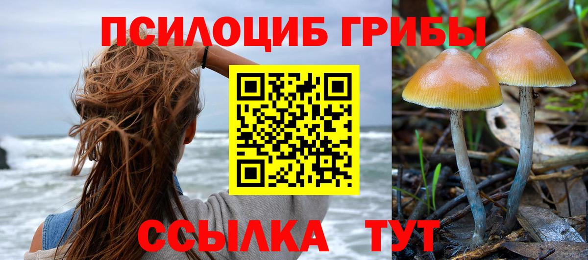 Липецк  Галлюциногенные грибы MAGIC MUSHROOMS  Вход с VPN 