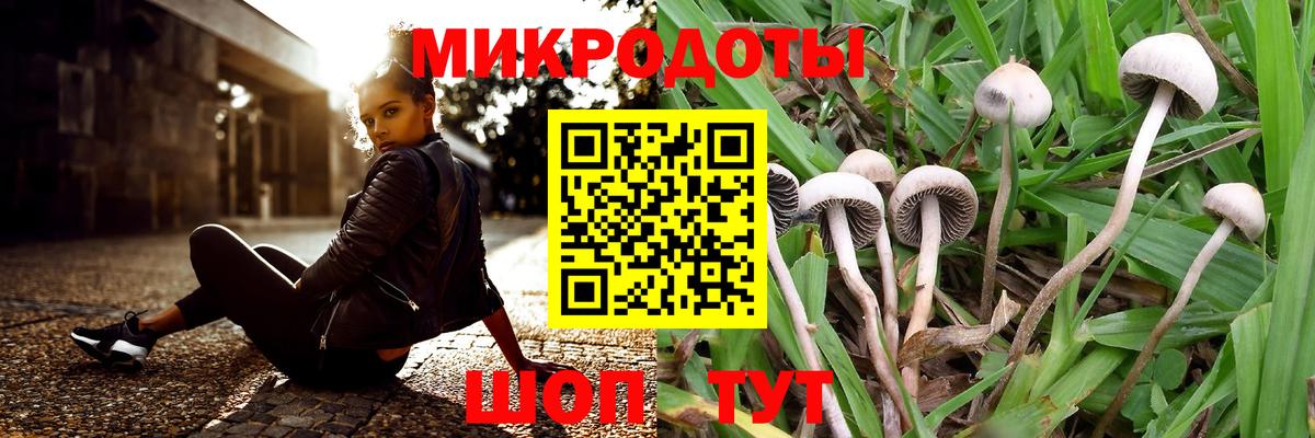 Псилоцибиновые грибы Magic Shrooms  Галлюциногенные грибы MAGIC MUSHROOMS  Липецк 